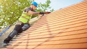 Best Roof Inspection  in Palmdale, CA