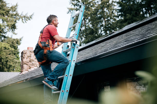 Best Metal Roofing Installation  in Palmdale, CA