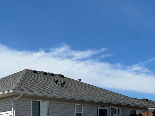 Best Chimney Flashing Repair  in Palmdale, CA