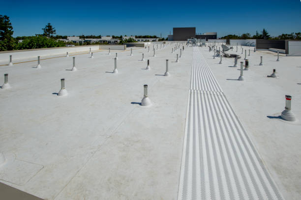Best Rubber Roofing (EPDM, TPO)  in Palmdale, CA